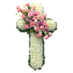 Cruces 8