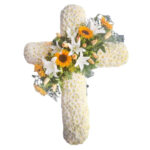 Cruces 6