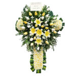 Cruces 7