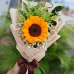 Primavera 1