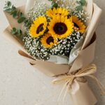 Primavera 4