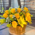 Primavera 8
